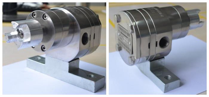 Stainless Steel Rotary Gear Pump