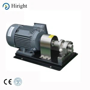 Rotationsgearpumpe