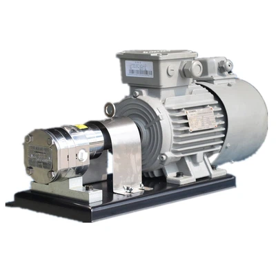 gear pump for alkali phenolic process -1 gear pump for alkali phenolic process -1